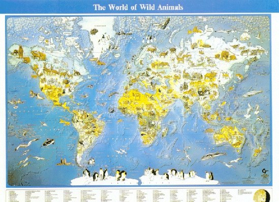 World Map of Animals